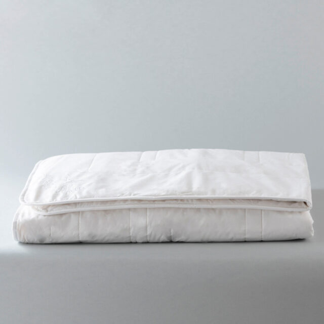 antklode-hanoi-054-ok-min